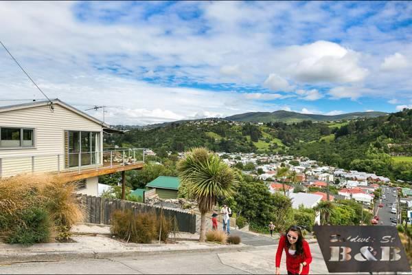 Bed and Breakfast Sleep On The Steepest Street In The World! Дьюндин Экстерьер фото